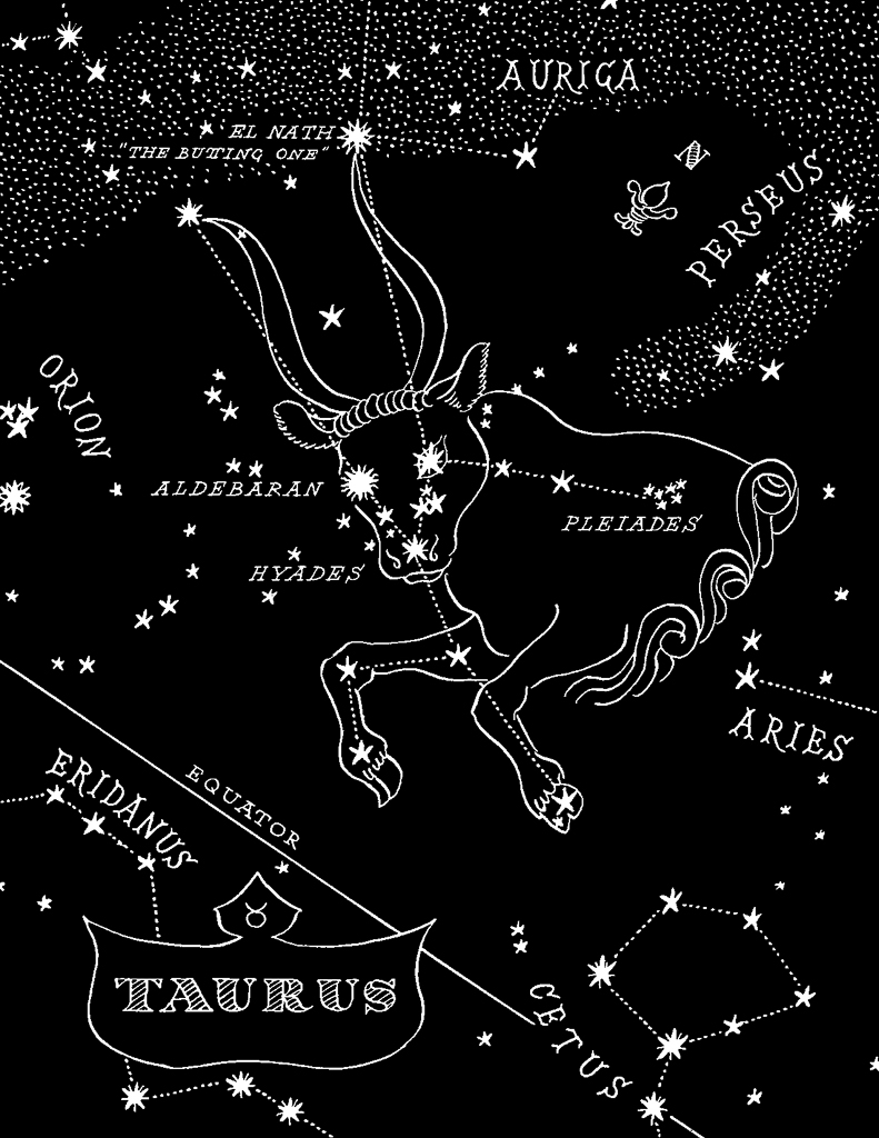 Antique Constellation Plates | Taurus.jpg