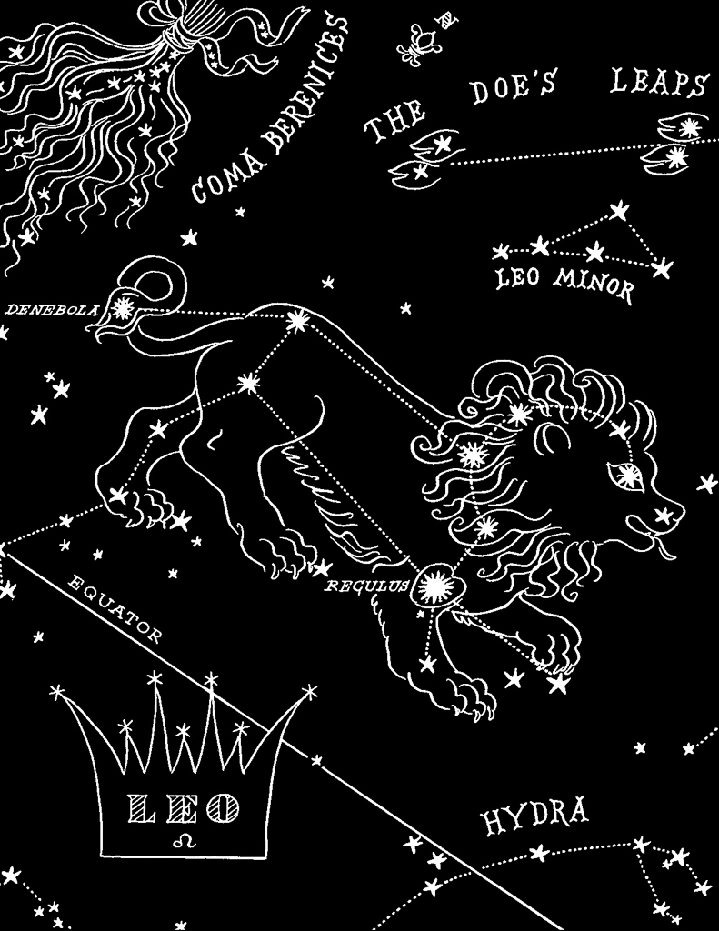 Antique Constellation Plates | Leo.jpg