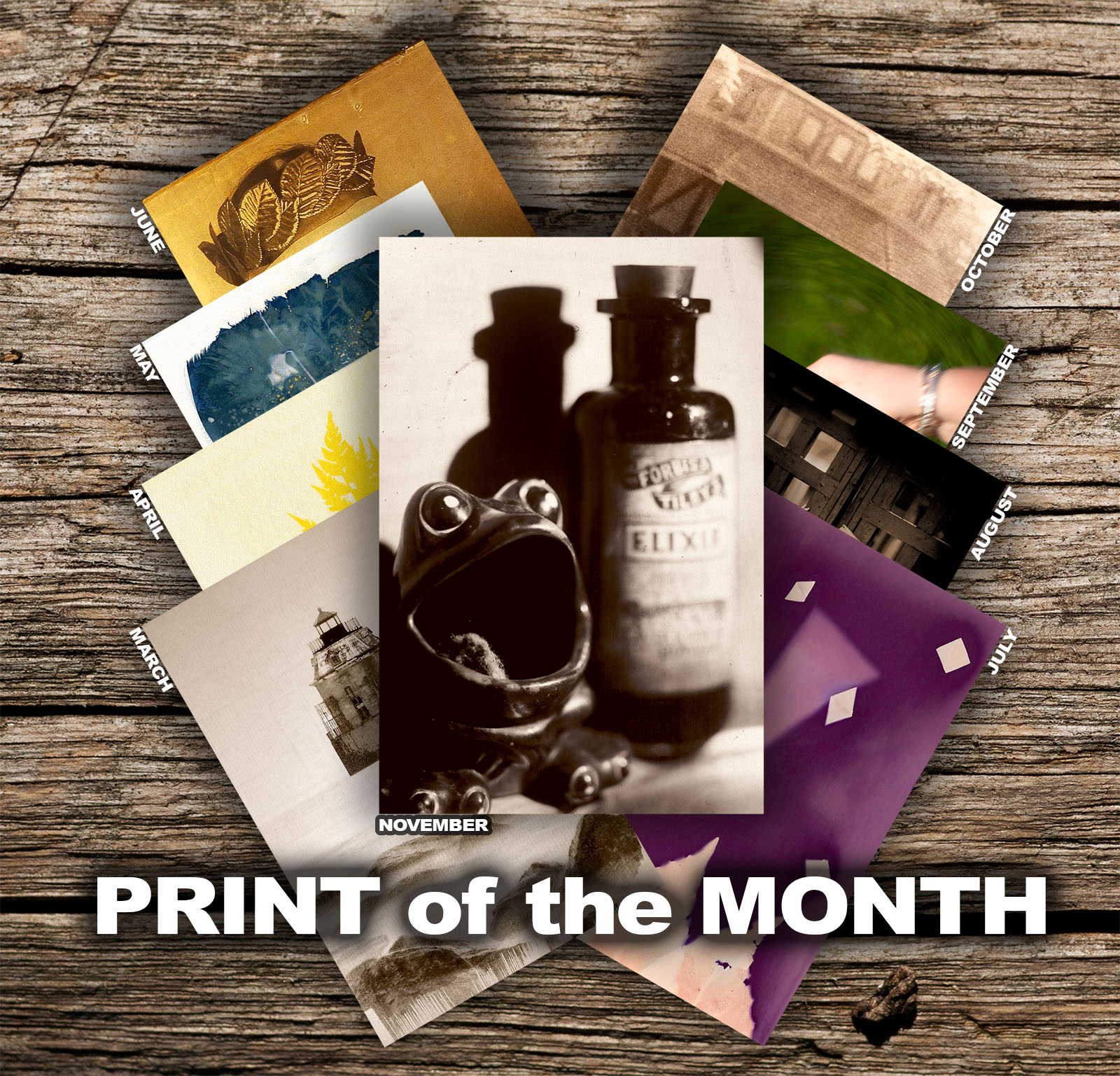 Print of the Month | Print_of_the_Month_PRODUCT.jpg