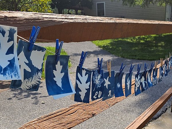 Students' Cyanotypes drying on a line